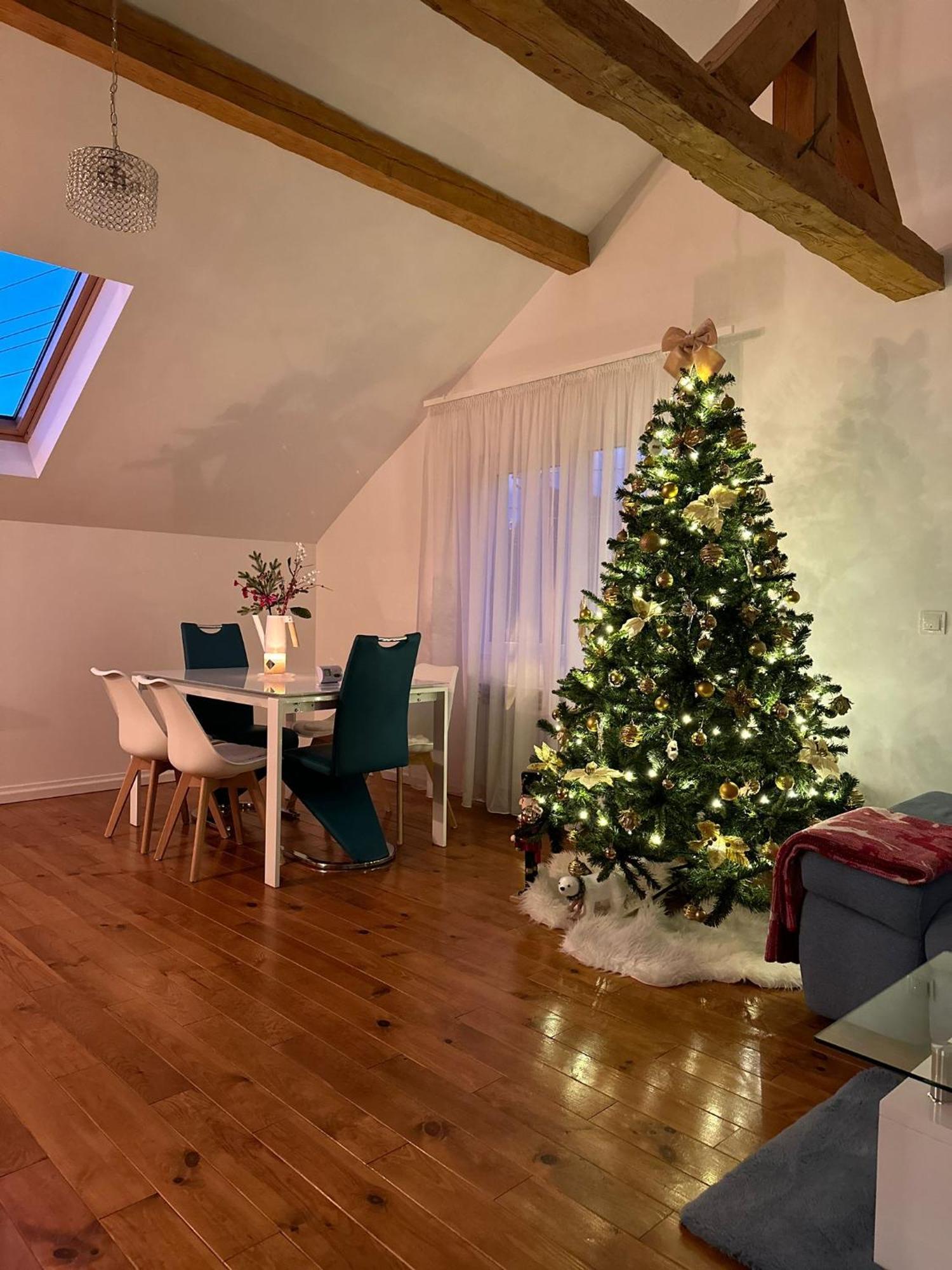 Attic 33 Apartman Moldvahosszúmező Kültér fotó